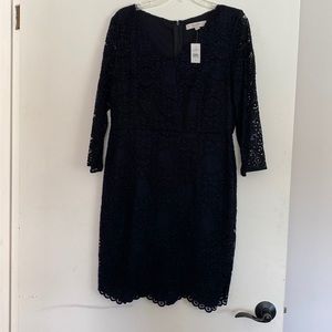Loft Black lace dress NWT